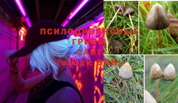 экстази Аркадак
