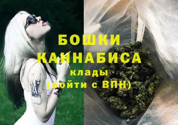 амф Арсеньев