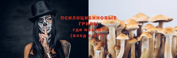 стафф Армянск