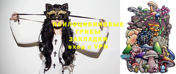 амф Арсеньев