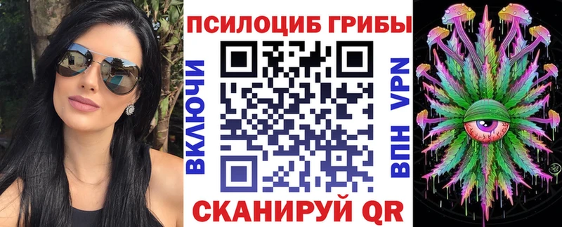Псилоцибиновые грибы Psilocybe  купить наркотик  Артёмовский 